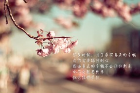 JiuyouAPP下载-英超冠军角逐：胜利只差一步的紧张决战，英超 冠军