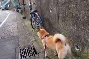 九游官网主页-联盟加强纪律管理提升职业精神与责任感，强化纪律管理