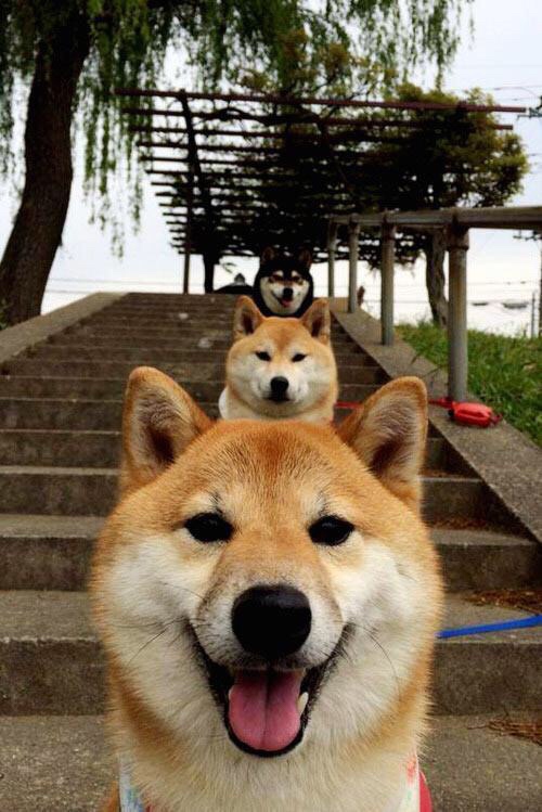 NBA球员复赛表现与封闭训练成效分析,nba复赛球员背后标语