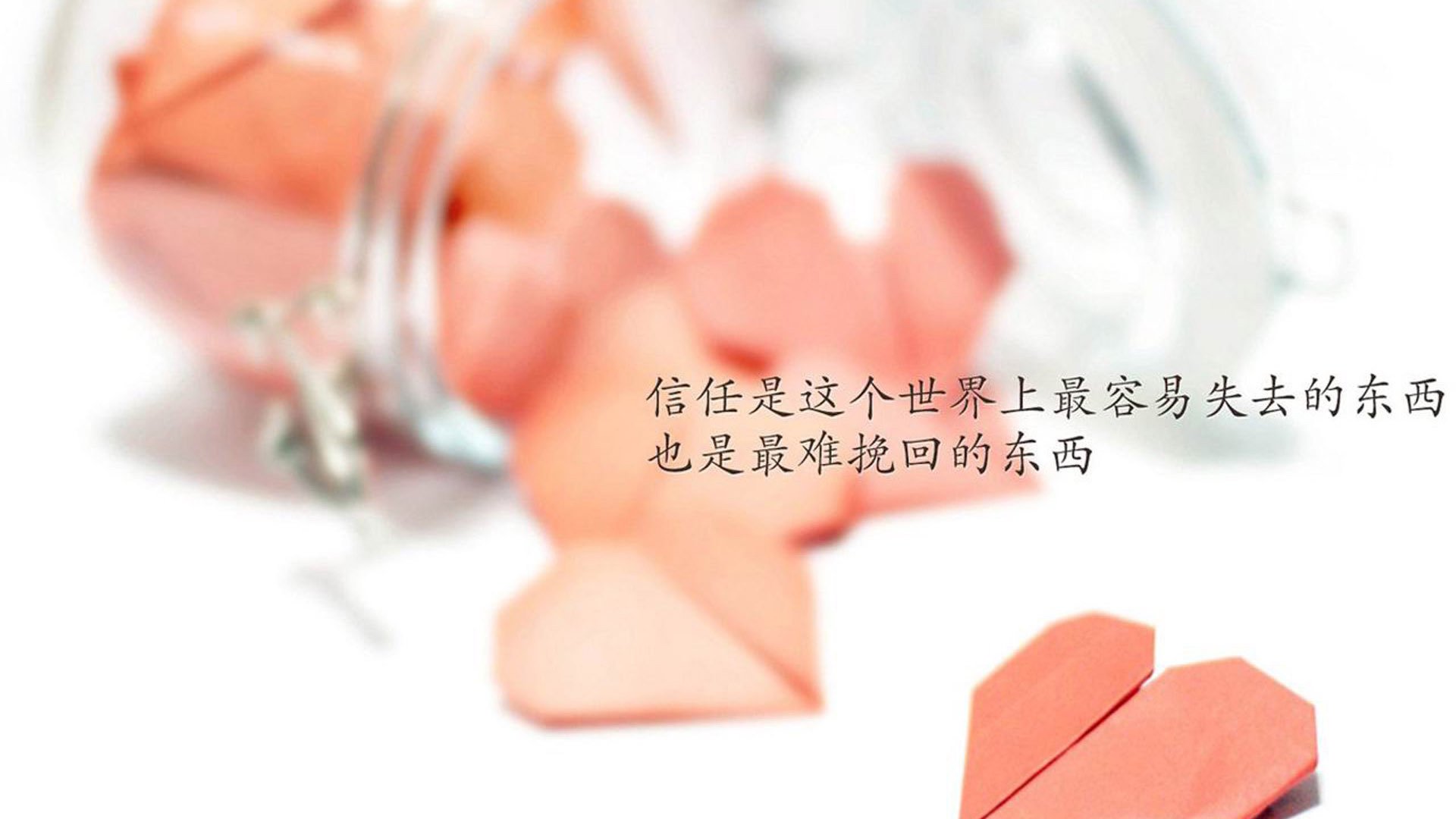 体育新闻中心联合地方广电打造体育融合传播栏目,央视体育新媒体广告投放