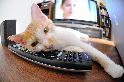 切尔西高效控球与快速反击成制胜法宝,切尔西防守怎么这么强