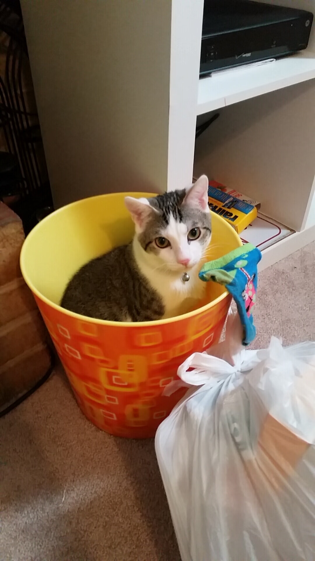 德美日蛙泳转身动作对比，蛙泳比赛转身视频