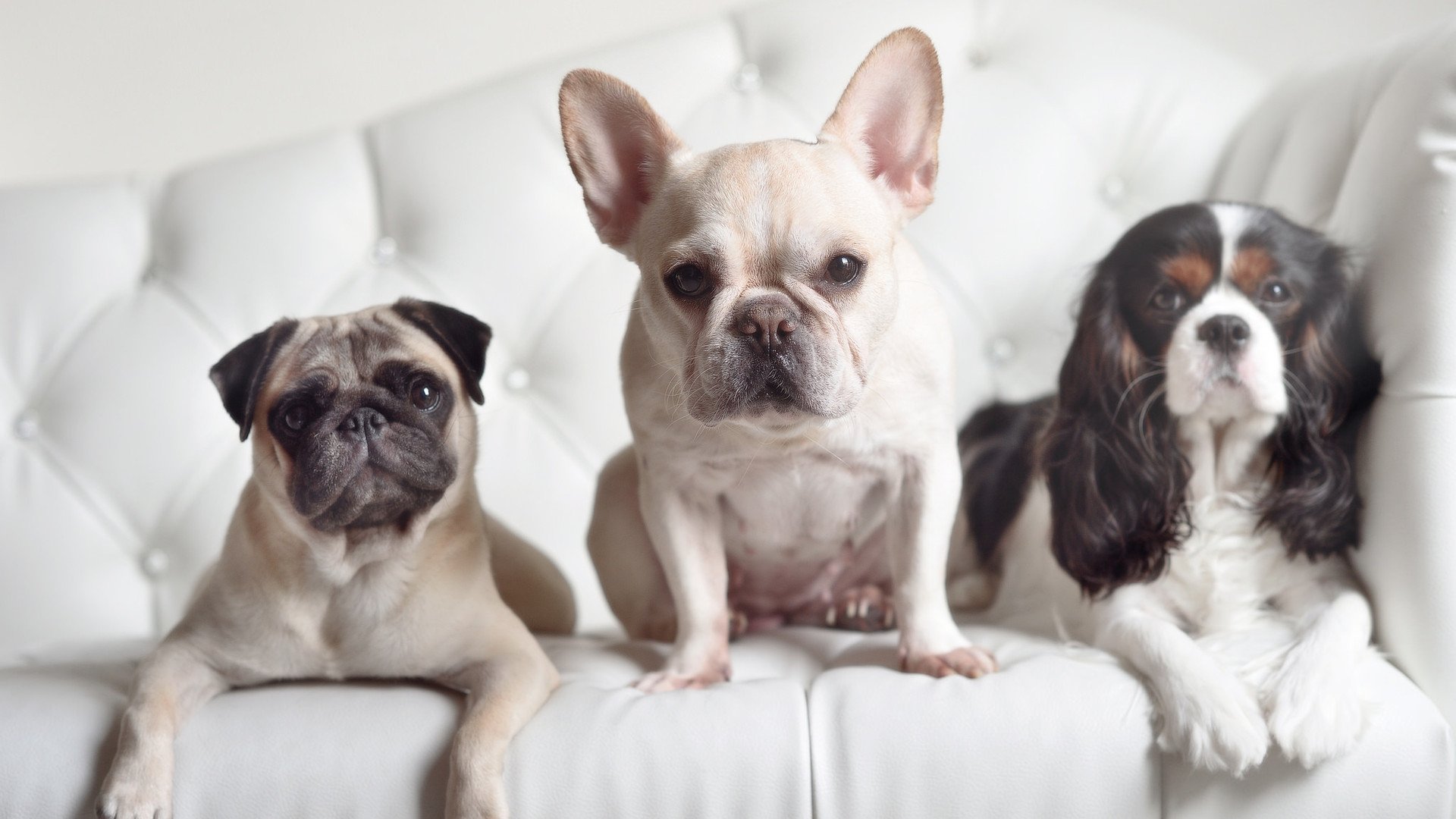 新的赛制规则更注重选手体能与技术的平衡,比赛赛制规则